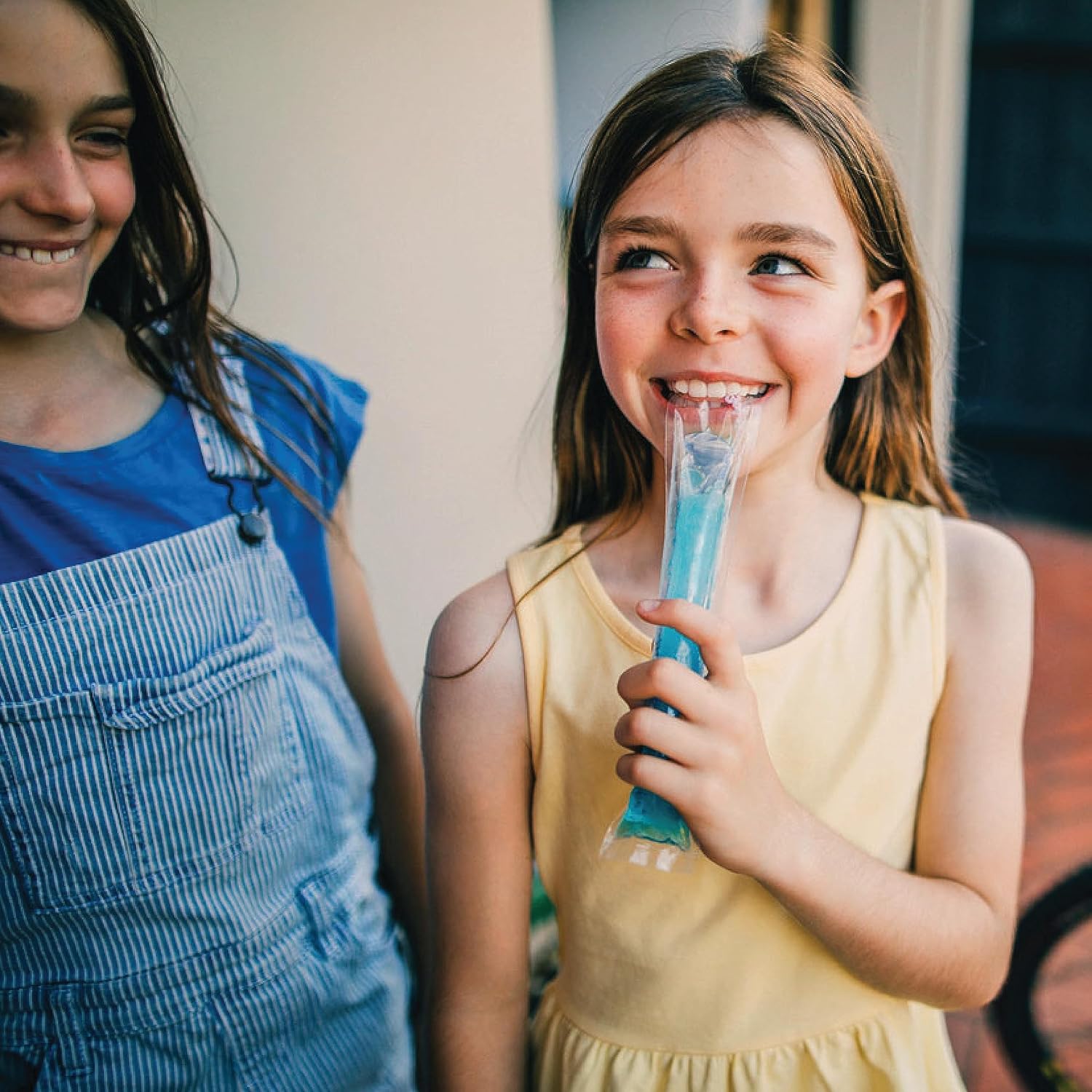 Wyler's Authentic Italian Ice, Fat Free Freezer Bars, Assorted Flavors (96ct - 2oz bars)